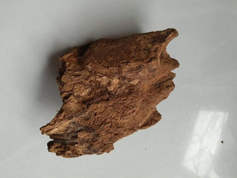Kỳ Nam được mệnh danh là "vua của các loại trầm hương" (Nguồn: Sưu tầm)